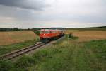 RBAHN 2050.09 mit dem SR 16842 (Rückersdorf-Harmannsdorf - Ernstbrunn) am 02.August 2019 beim Strecken-Km 17,6 der Lokalbahn Korneuburg - Mistelbach.