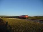 Gerade ist die 2050.09 mit einem 4-teiligen, tannengrnen Schlierenwagenzug durch die Bahnhaltestelle Stetten gefahren.