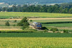 2143 062 kämpft sich mit dem  Nostalgie Express Leiser Berge  bei Sommerhitze durch die Weiten des Weinviertels in Niederösterreich.