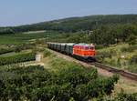 Die 2143 056 mit einem dem Reblaus Express nach Retz am 31.08.2019 unterwegs bei Retz