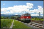 Diesellok 2143 064 kommt mit einem leeren Holzzug aus dem Lavanttal.
Zeltweg 30.07.2007