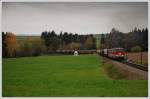 2143 075, 2143 055 und 2143 069 mit dem VG 73153 von Martinsberg-Gutenbrunn nach Scharzenau am 16.10.2008 kurz nach der Ausfahrt aus Zwettl aufgenommen. Noch bis Fahrplanwechsel wird diesem Zug in der Regel ab Zwettl eine dritte 2143 vorgespannt. Ab Fahrplanwechsel soll die 2143ger den Vorspann fr eine 2016 bei diesem Zug bernehmen.