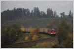 2143 069 und 2143 055 mit dem VG 73152 von Schwarzenau nach Martinsberg am 16.10.2008 kurz nach der Ausfahrt aus Zwettl.