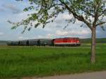 Als erster Nostalgiezug auf der Lokalbahn Korneuburg-Hohenau fuhr die 2143 053-3 am 01.05.2010 zwischen Korneuburg und Ernstbrunn. Hier unter einem blhenden Apfelbaum bei Harmannsdorf (01.05.2010).