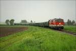 Diesellok 2143 038 fhrt mit R16130 von Wien Franz-Josefs Bf nach Ernstbrunn. 
Harmannsdorf 2.5.2010