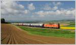 2143.24 der WLB am 5.5.2013 unterwegs zum 6. Oldtimertreffen auf Strae und Schiene in Ernstbrunn als SR 14166 von Wien nach Ernstbrunn am  Scharreitherberg kurz nach Mollmannsdorf aufgenommen.