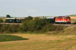 2143 009 fhrt mit dem  NostalgieExpress Leiser Berge  an einem sonnigen Morgen nach Ernstbrunn. Die Aufnahme entstand kurz nach Wrnitz-Hetzmannsdorf, am 22.09.2013.