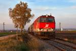 2143 072, unterwegs am vorletzten Wochenede des NostalgieExpress Leiser Berge in dieser Saison. Die Aufnahme in der Abendsonne entstand am 20.10.2013 zwischen Rckersdorf-Harmannsdorf und Stetten Fossilienwelt.