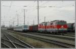 2143.052 und 053 vor dem Rbenzugug 59293 vor der Abfahrt zur Zuckerfabrik nach Siebenbrunn-Leopoldsdorf im Bahnhof Stadlau aufgenommen am 9.12.2006.