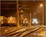 1142 703 wartet am 20.1.2006 im Cargo Center Graz auf ihre Abfahrt. D3 der Steiermrkischen Landesbahnen (Bild Mitte) zog gerade den Containerzug fr die LTE 185 528 aus dem Terminal und befindet sich bereits wieder auf dem Rckweg. 