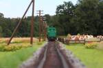 Im Zuge der Erneuerung der fast 50 Jahre alten Telegraphenleitungen zwischen La�nitz und Geipersdorf-Wildbachberg ist im Juli 1977 die VL3 der Wildbacher Lokalbahn �fters auf der Strecke zu sehen, so
