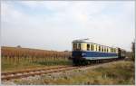 Anlsslich des Perchtoldsdorfer Htereinzuges veranstaltete der Verein Pro Kaltenleutgebner Bahn Sonderfahrten mit dem 5042 14 auf der schnen, 6,7 km langen Strecke zwischen Wien/Liesing und Waldmhle. Perchtoldsdorf, 06.11.11