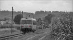 Mit diesem Bild beschließe ich meine Serie der Radkersburgerbahn und freue mich au die nächste Sonderfahrt der Interessengemeinschaft  Lebensader Neue Radkersburgerbahn . 
Danke an dieser Stelle an die Organisatoren und das Zugpersonal . 

14.09.2019 in Richtung Mureck 