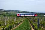 5047 095 fhrt am 19.05.2010 als R7777 durch die Weinberge des Blaufrnkischland nach Neckenmarkt-Horitschon.