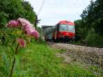 Der modernisierte 5047 005-3 berquert den Kamp bei Rosenburg am Kamp.