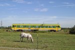 5047.502 als Reg. strt das Pferd bei Katzelsdorf nicht wirklich. 29.8.11