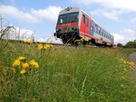 5047 074-9 fährt als R3481 entlang am blühenden Bahndamm; 160525