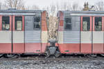 Lange Jahre prägten Sie das Bahn-Bild der West-Steiermark. 
Hier bei diesem Bild war ich froh die beiden Führerstände ohne Graffiti ablichten zu können. 
VT70.01 und 012 am 30.01.2020 