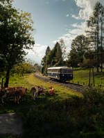 Sonderfahrt anl�sslich des 111 j�hrigen Jubil�ums der Gailtalbahn:  EBBEV 5081 055 am 05.09.2026 bei Podlanig, nahe Hermagor.