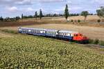 A-BIF 2060.14 und A-OSEK 6645.02 mit 5145.11 als erste Nebenfahrt des zweit�gigem Fotospezial  Dieselnostalgie im Weinviertel  am 22.August 2026 beim Strecken-Km 54,3 der Lokalbahn Korneuburg -