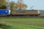 Mein gestriger Fotoausflug ging gleich mit der TX Logistik Werbelok 185 538-6  Pure Gold  los. (9381 0185 538-6 A-TXL A). Aufgenommen am 23.10.2022 bei Laubenzedel.