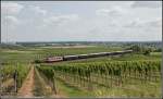 Die Fahrgste des MAJESTIC IMPERATOR - TRAIN DE LUXE genossen auch bei einer der Rckfahrten von (Bad Vslau) Baden nach Wien FJB einen schnen Ausblick in die Thermenregion. GEG 1010.15 mit SD 16815, aufgenommen am 06. Juli 2013 beim Busserltunnel nahe Pfaffsttten.