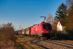 1016 035 mit einem gemischten Güterzug bei Postbauer-Heng Richtung Nürnberg, 17.01.2020