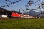 Eurocity EC 164  Transalpin  in Schwarzach gen Woflurt.