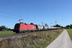 1016 033 mit einem Kesselwagenzug aus Salzburg kommend am 20. Oktober 2021 bei Übersee am Chiemsee.