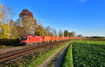 1016 033 mit DGS 42900 am 25.10.2022 bei Langenisarhofen.