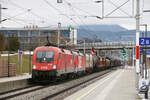 �BB 1016 018 + 1293 108 // Seekirchen am Wallersee // 23. Januar 2025