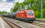 91 81 1016 007 |�20260517 |�A�ling