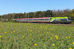 CAT 1016 016 an einem Railjet  am 25.9.26 bei Eglharting.