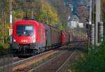 1016 005 mit einem Gterzug zwischen Tullnerbach-Pressbaum und Pressbaum im herbstlichen Wienerwald am 19.10.2008.