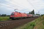 1016 041 und 1116 206 sind am 29.08.2009  mit dem EC 163  Transalpin  bei Marchtrenk  vorbeigefahren.