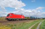 Mit einem Containerzug ist am 05.09.2009
die 1016 002 auf der Westbahn bei Oftering
vorbeigekommen.