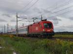 Die 1016 012 am 28.08.2010 mit einem OIC unterwegs bei Oftering.