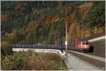 1142 567 + 1016 050 mit Leerzug 47361 von Donawitz nach Wien Zvbf. Gloggnitz 29.10.2010

