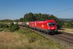 1016-005 mit einer weiteren Vertreterin ihrer Gattung vor dem Wenzelzug bei Eglwang an der KBS 880.(18.8.2012)