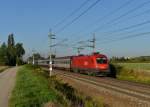 1016 021 mit den verspteten EN 491 am 20.08.2012 unterwegs bei Marchtrenk.