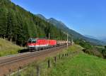 1144 081 + 1016 047 mit dem Schlammkreidezug am 08.09.2012 unterwegs bei Penk.