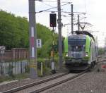 Und 1016 036 mit CAT vom Flughafen kommend in Richtung Wien Mitte. Aufgenommen am 14.05.2013 an der Station Zentralfriedhof.