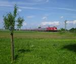 1016 004 mit Schublok 1016 008 Durchfuhren am 12.06.13 Neu-Ulm.