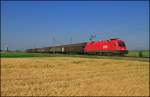 1016.022 mit Gterzug am 17.06.13 kurz nach Ober-Eggendorf Richtung Ebenfurth.