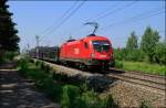 1016.024 fuhr am 18.06.13 mit GEFCO Leerzug durch St.Egyden Ri.