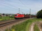 Die 1016 012 mit einem Güterzug am 04.06.2014 unterwegs bei Pöndorf.