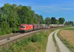 1016 007 mit einem Stahlzug am 27.08.2015 bei Langenisarhofen.