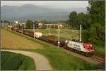 Werbetaurus 1016 047 Wiener Stdtische fhrt mit einem Gterzug in Richtung Villach.