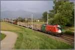 Em-Lok 1016 025 f�hrt mit G�terzug 55507 von Wien Zvbf nach Villach.
Zeltweg 30.05.2008