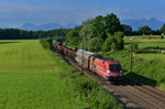 1016 048 mit einem Güterzug am 07.07.2016 bei Gutmart.